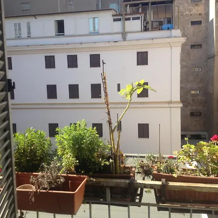 호텔 Toffa Place In